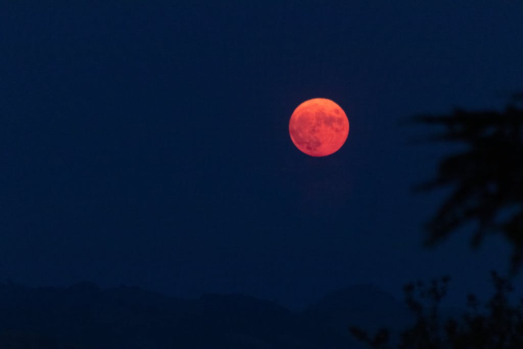 Silhouette of high mountains and trees under night sky with bright orange moon